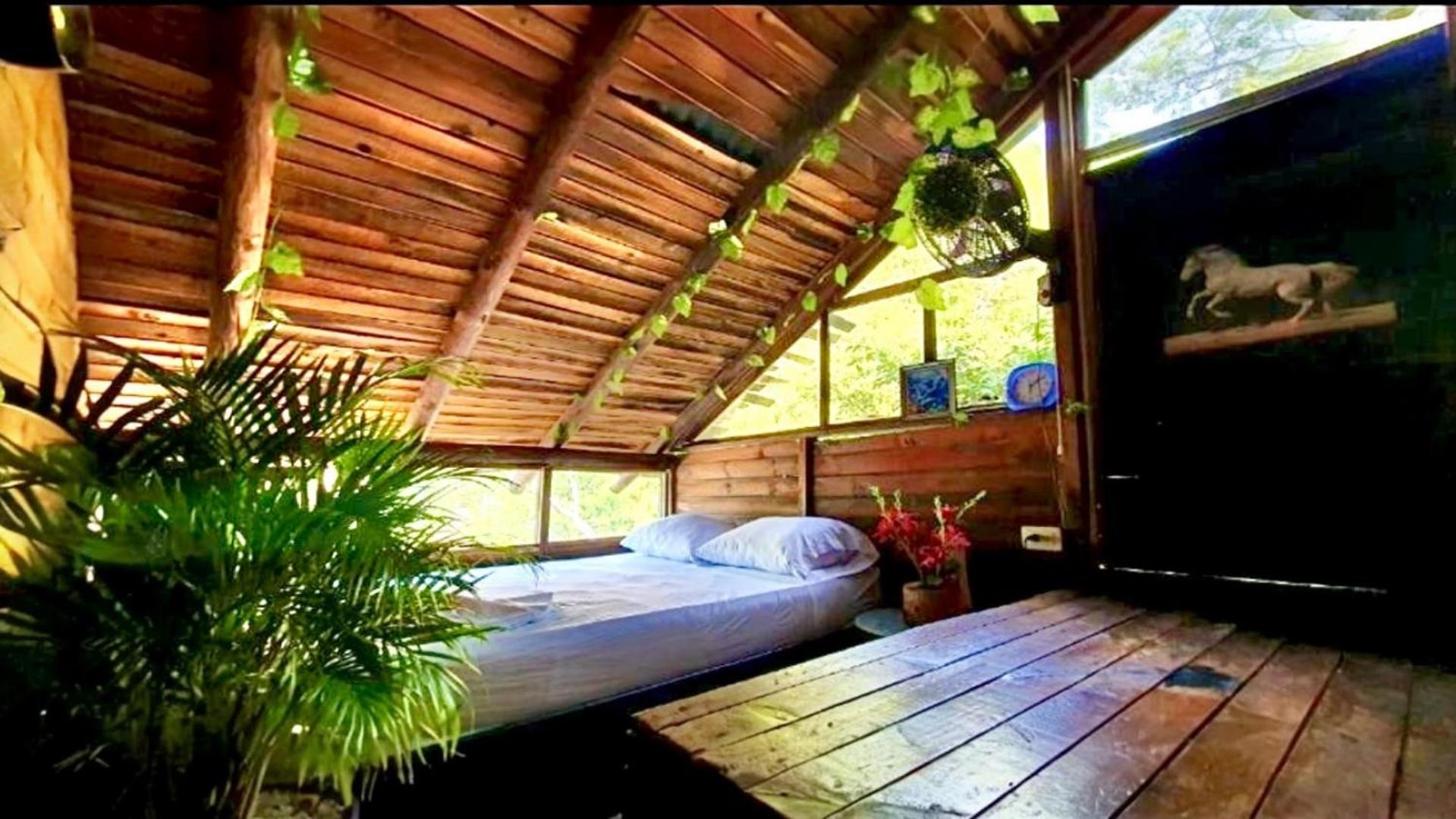 Tamarindo Beach Hostel Taganga Exterior foto